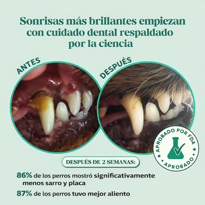 Polvo dental "Fresh Breath" con Postbioticos