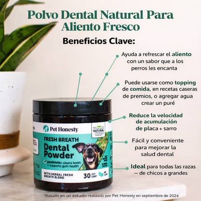 Polvo dental "Fresh Breath" con Postbioticos