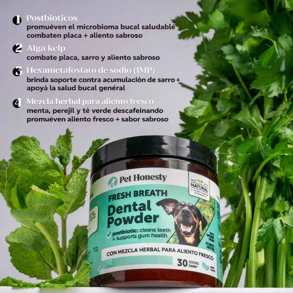 Polvo dental "Fresh Breath" con Postbioticos