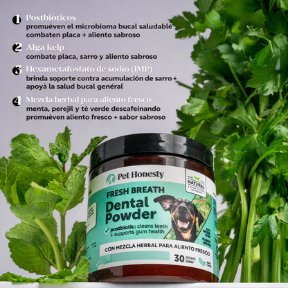 Polvo dental "Fresh Breath" con Postbioticos