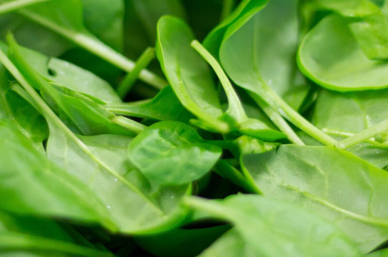 <p>Refresca el aliento naturalmente</p>